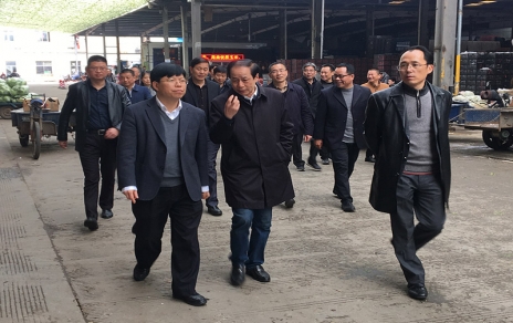 2017年3月16日下午，嘉興市委常委、常務(wù)副市長樓建明帶領(lǐng)市級相關(guān)部門負(fù)責(zé)人視察嘉興蔬菜批發(fā)市場