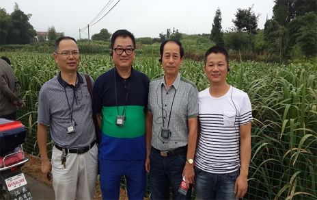 2014年8月，中國蔬菜流通協(xié)會會長戴中久與公司、市場領(lǐng)導(dǎo)一起考察蔬菜基地