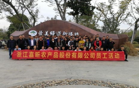 動出健康與活力！工會組織員工健身走活動