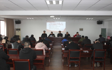 履行“兩會”職責(zé)、促進(jìn)企業(yè)發(fā)展