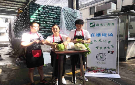 創(chuàng)意直播帶貨,本期專欄：蘭州高原夏菜！