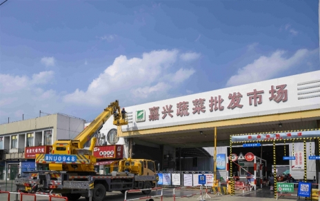 進無止境，“嘉農?蔬菜人”