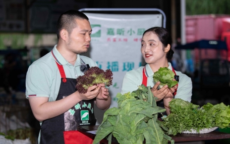 千金如玉，一口清心--生菜?油麥菜?萵筍直播專場